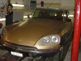 DS 23 Pallas Gold-weiss  Jg 72 004